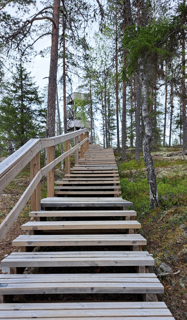 kuvassa on kuntoportaat ja luontotorni.