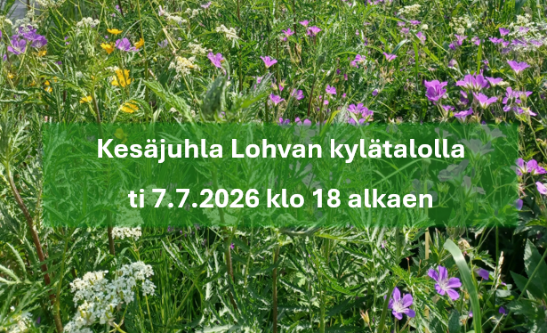 kuvassa on niittykukkia.